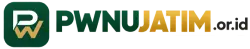 pwnujatim.or.id